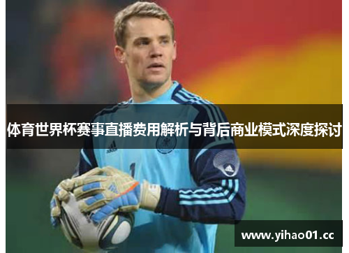 体育世界杯赛事直播费用解析与背后商业模式深度探讨