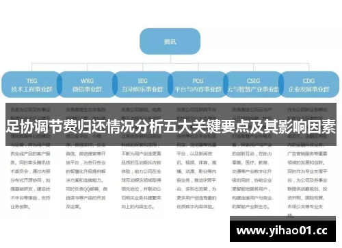 足协调节费归还情况分析五大关键要点及其影响因素
