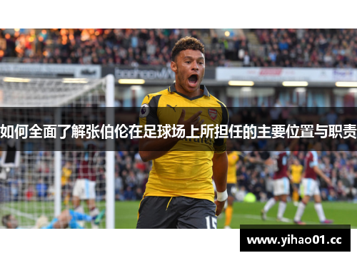 如何全面了解张伯伦在足球场上所担任的主要位置与职责 如何全面了解张伯伦在足球场上所担任的主要位置与职责