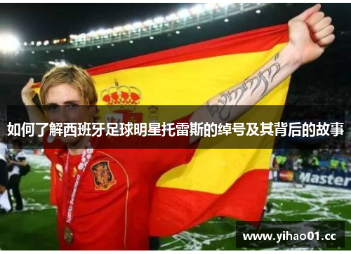 如何了解西班牙足球明星托雷斯的绰号及其背后的故事 如何了解西班牙足球明星托雷斯的绰号及其背后的故事