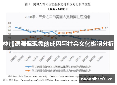 林加德调侃现象的成因与社会文化影响分析 林加德调侃现象的成因与社会文化影响分析